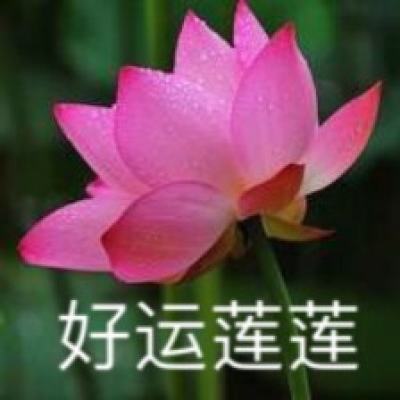 习近平在和平共处五项原则发表70周..